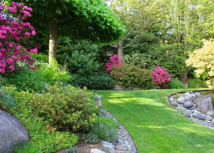 Ced Elagage Paysage Elagage Abattage Herault Conception Despaces Verts