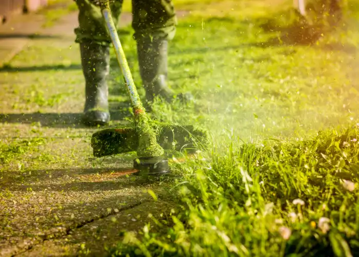 Ced Elagage Paysage Elagage Abattage Herault Debroussaillage