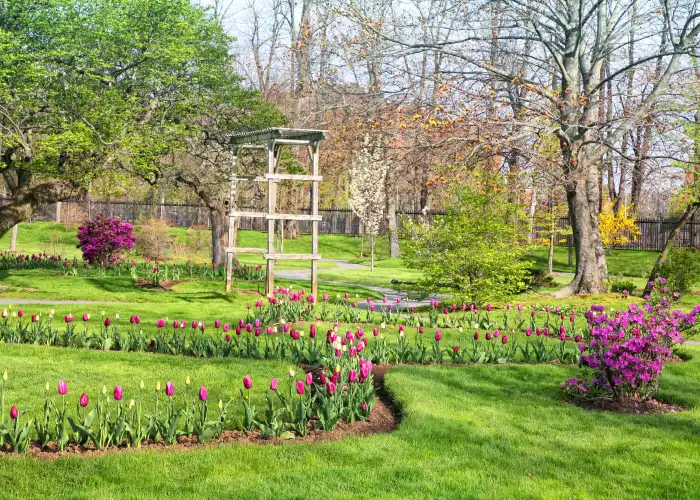 Ced Elagage Paysage Elagage Abattage Herault Entretien Annuel Ou Ponctuel