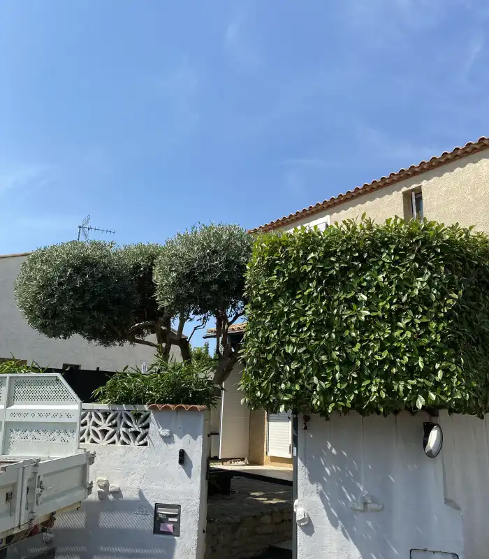 Ced Elagage Paysage Elagage Abattage Herault Platrerie A Saint Viaud