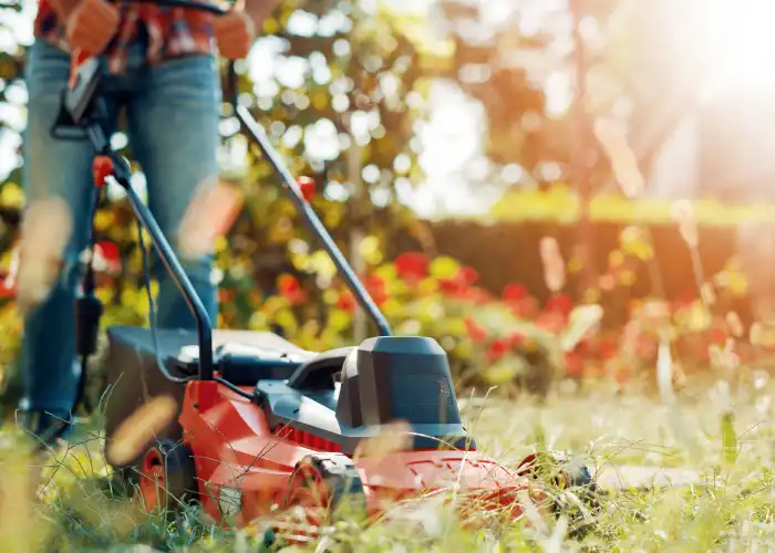 Ced Elagage Paysage Elagage Abattage Herault Tonte De Pelouse