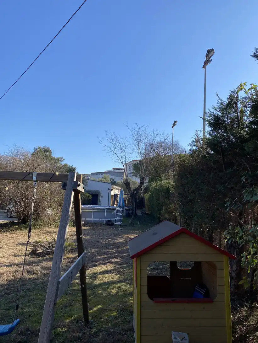 Ced Elagage Paysage Elagage Abattage Herault Apres 1