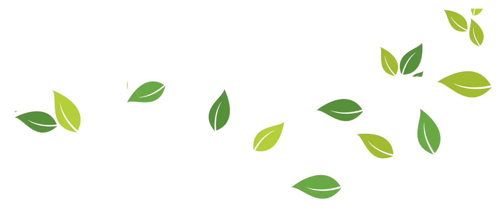 Ced Elagage Paysage Elagage Abattage Herault Avis Client