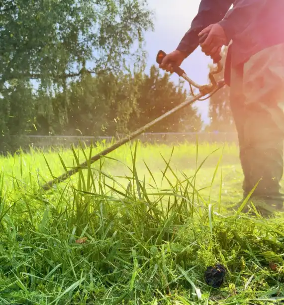 Ced Elagage Paysage Elagage Abattage Herault Entretien Jardin