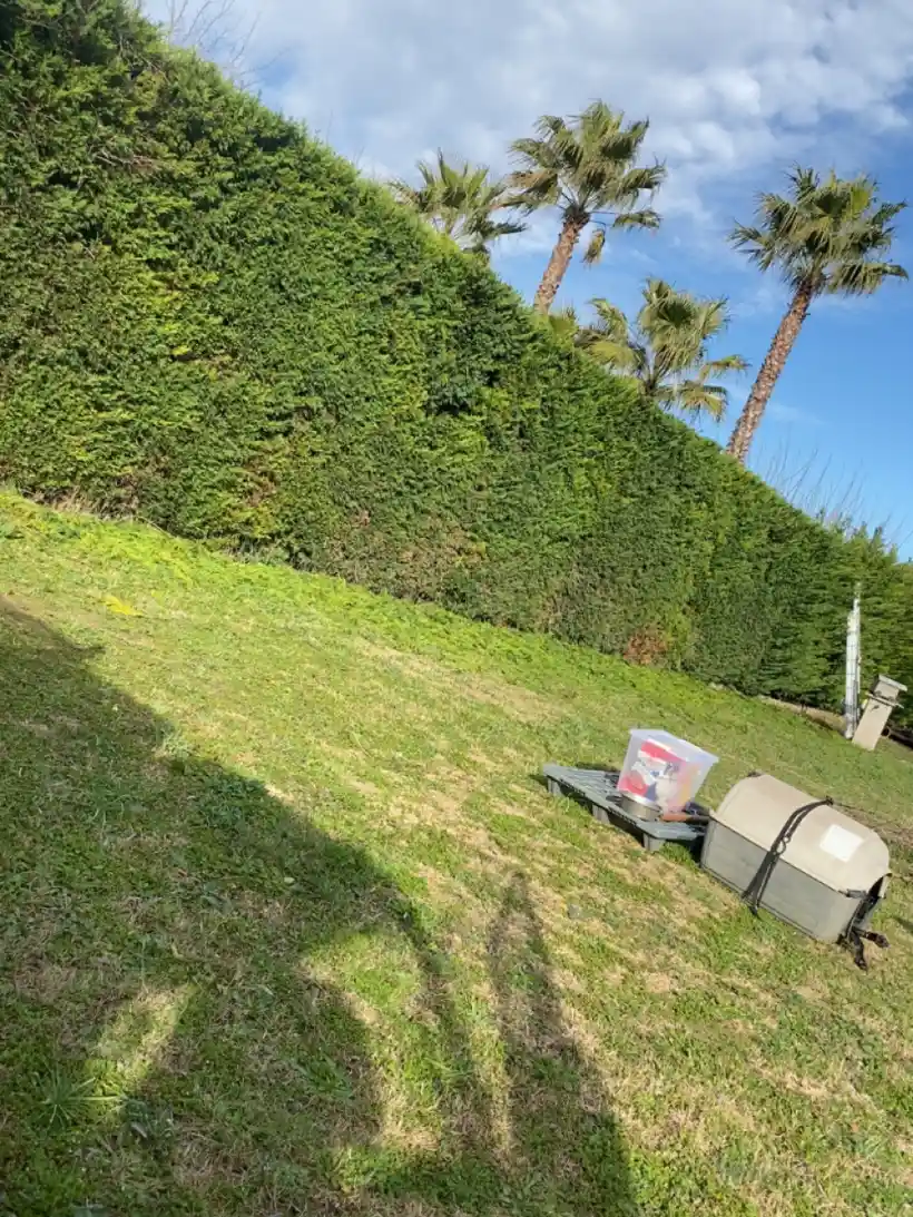 Ced Elagage Paysage Elagage Abattage Herault Entretien Jardin1