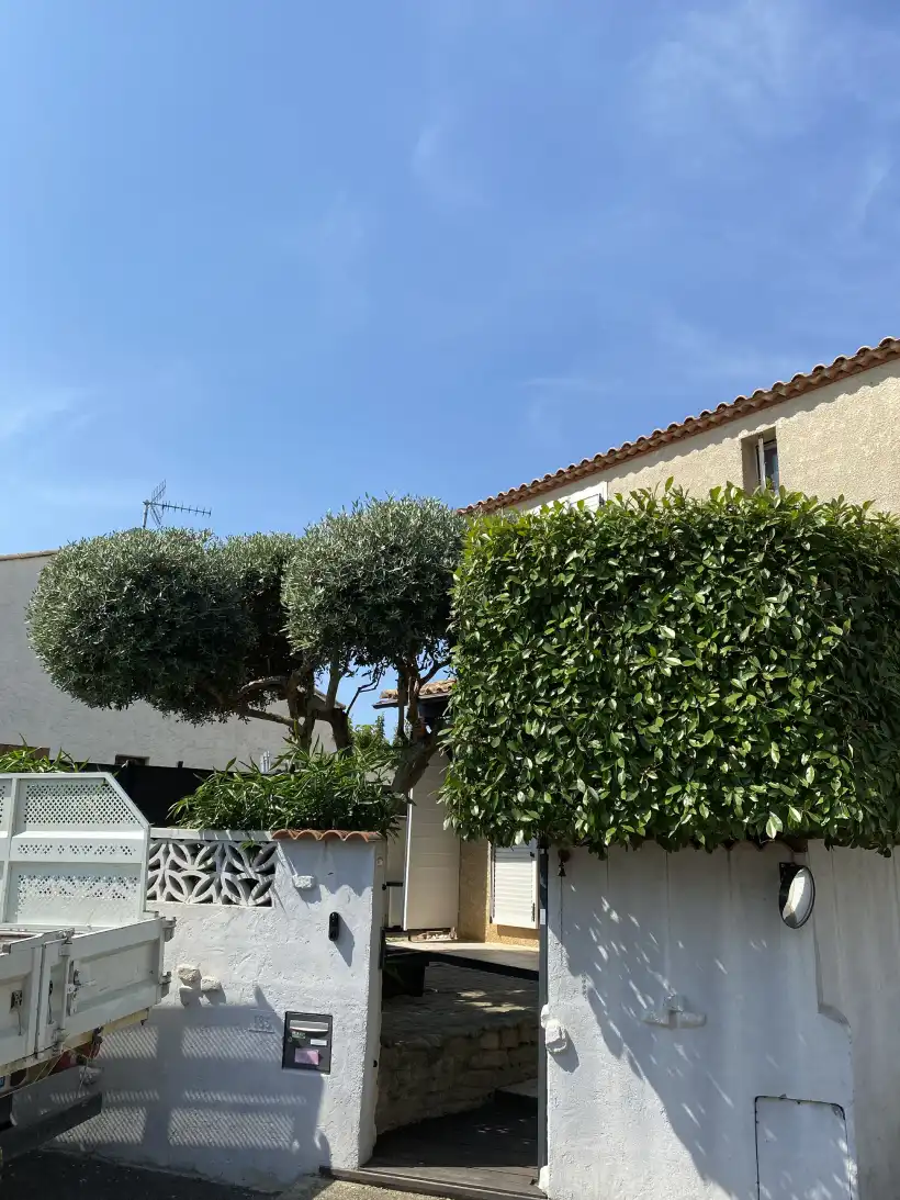 Ced Elagage Paysage Elagage Abattage Herault Entretien Jardin2